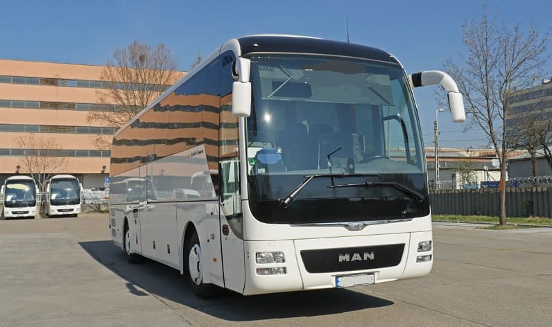 Upper Carniola: Buses operator in Kranj in Kranj and Slovenia